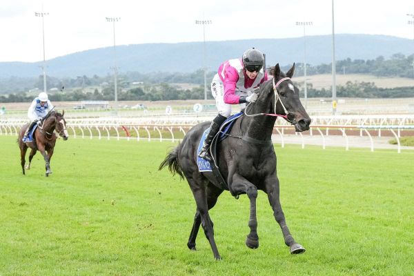 Regally bred hurdle winner at Pakenham