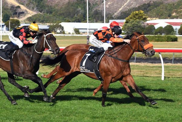 Pinn enjoys standout day at Trentham