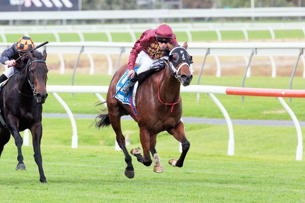 Stokes pair out to rebound in Group One