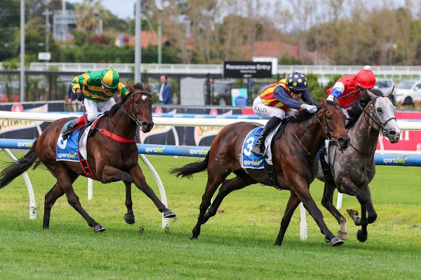 Desperado gets Caulfield victory in driving finish