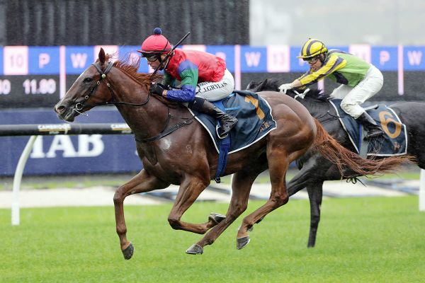 Rogerson targeting Te Rapa race days