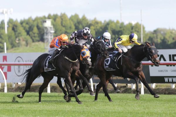Freeze Frame turns the tables in Sumi rematch