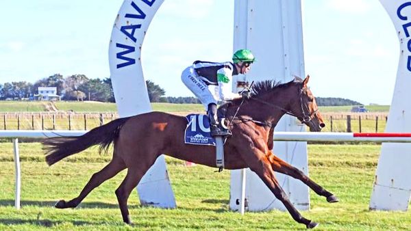 Glimmer shines at Waverley