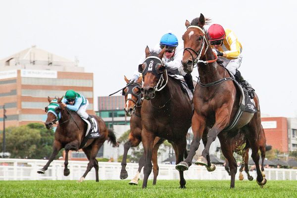 Gold Wolf to chase Derby glory