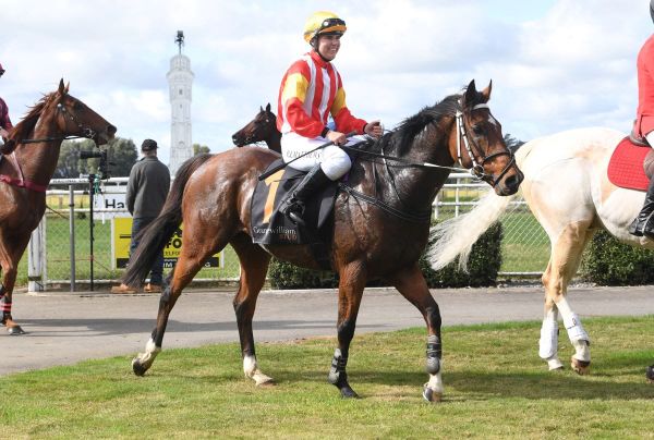 Matthews off to a flyer at Hawera jumps opener