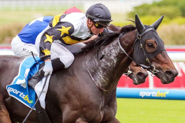 Here To Shock to target NZ Group One