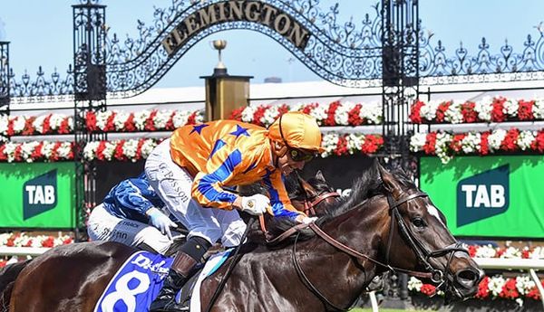 Star sprinter Imperatriz retired