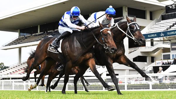Ellerslie under investigation