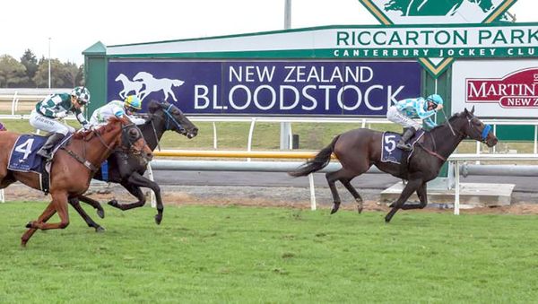 Matscot takes out inaugural Southern Alps Challenge