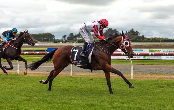 Shearing trio head to Wingatui