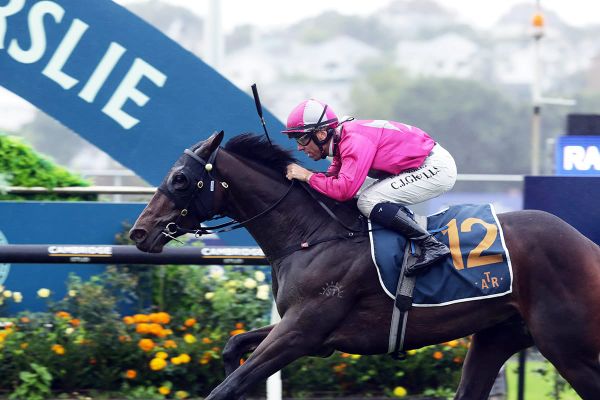 Sun shining on potential Group One hope