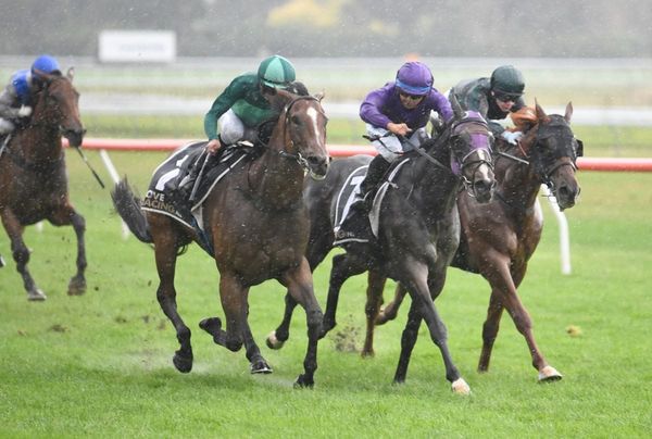 Mr Mojo Risin' makes winning return