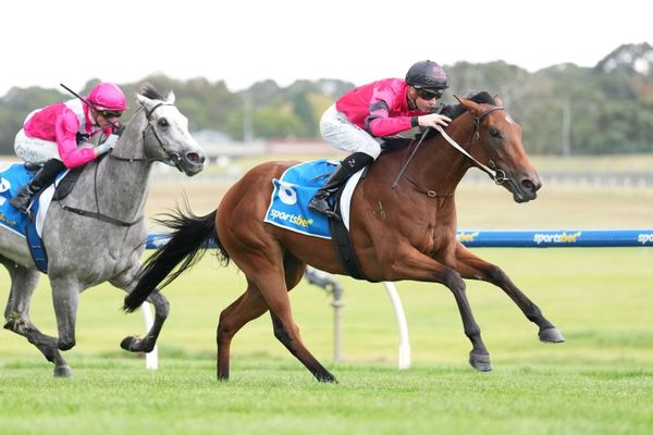 Our Sassy Lady shines in Sandown debut