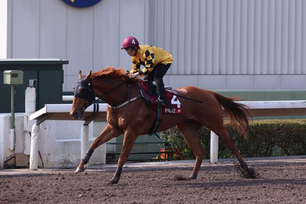 Flying Ace limbers up for Chairman’s Sprint Prize with soft trial