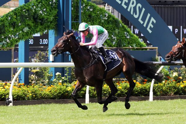 Cup stage awaits Positivity