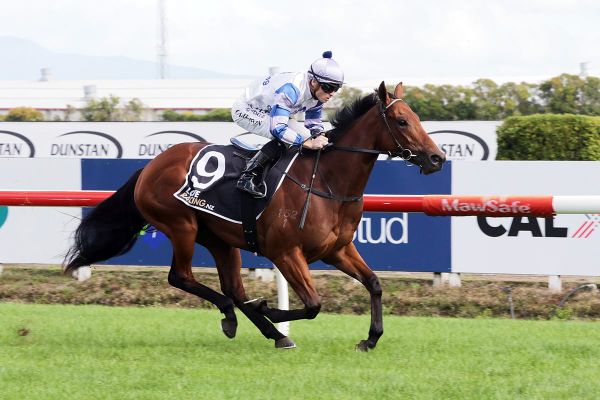 Big week ahead for Cole stable