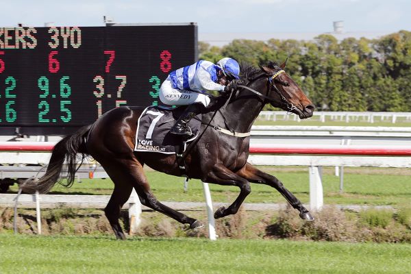 Emotions high after Tomodachi’s win