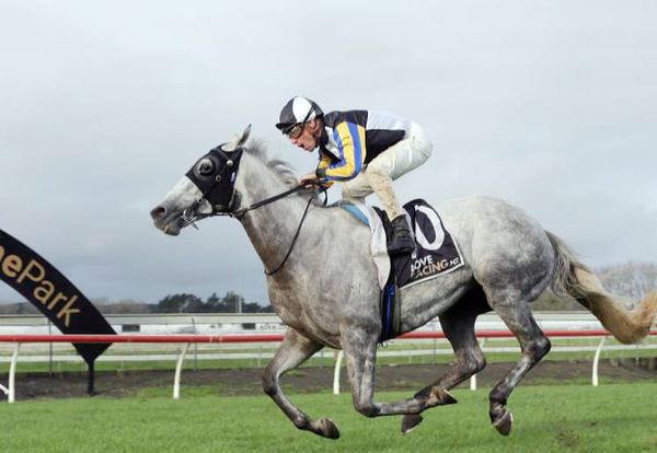 Forsman bringing plenty of noise to Ellerslie features