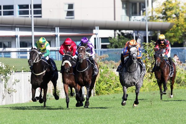 Impressive Zantabulous destined for middle-distance