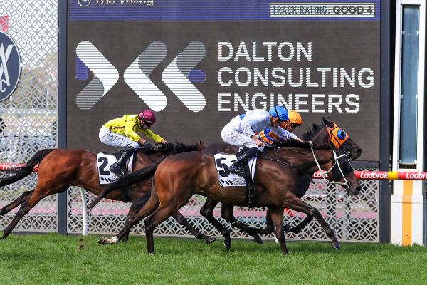 Marsh seeking age-group prizes on both sides of the Tasman