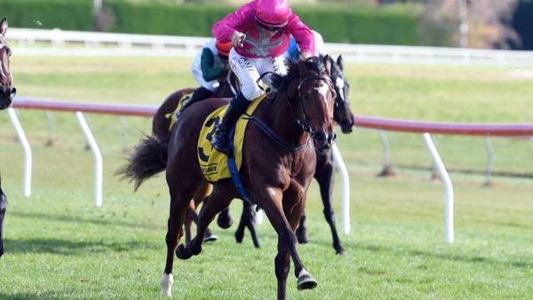 Belardi scores breakthrough win