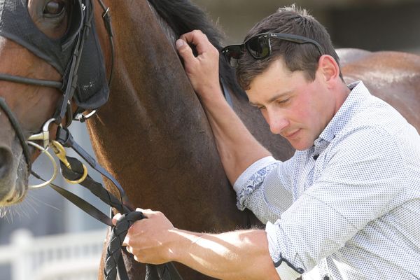 Cole keen for season ahead