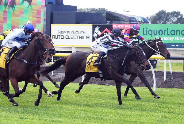 Latta hunting Listed features