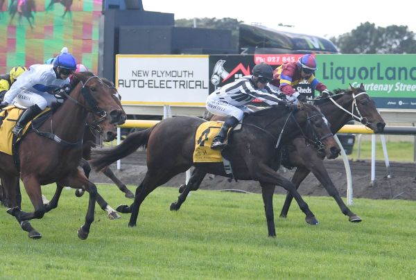 Connello strikes winning form at New Plymouth