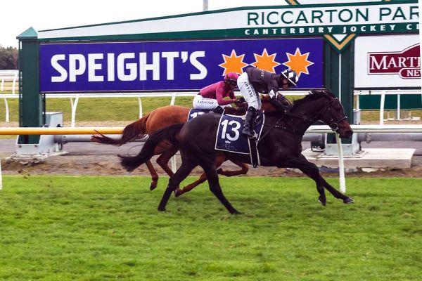 Promising filly scores southern consolation