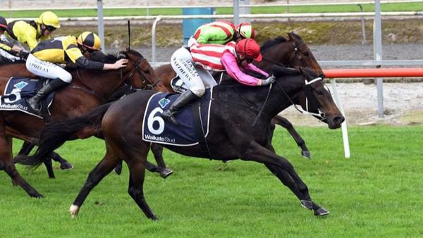 Deebee Bellfer looking to extend winning run