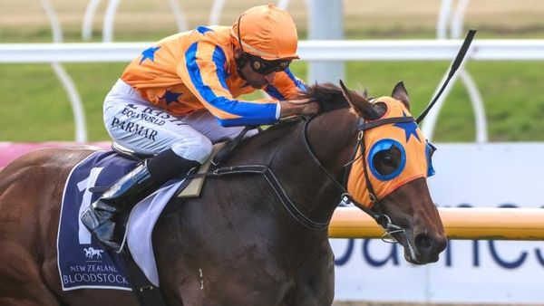 More stakes success for Highline