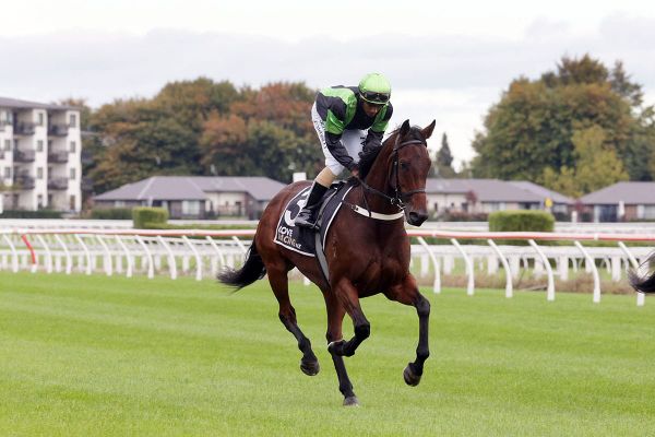 Phelan youngster chasing black-type crown