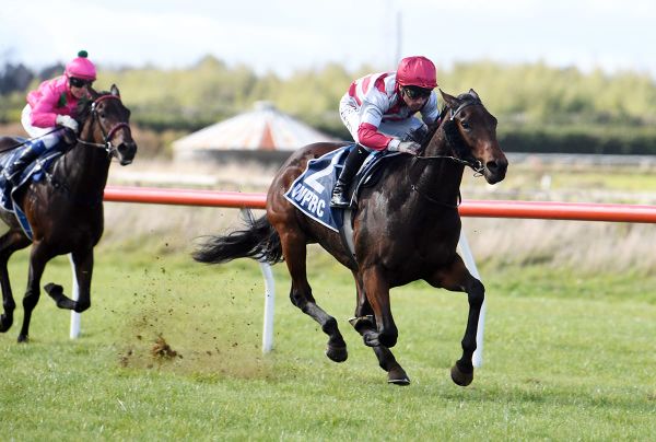 Strong Woodville win for Hong Kong-bound 2YO