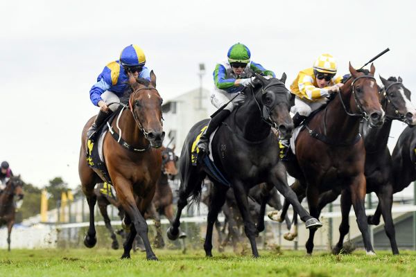 Fall For Cindy shares Hawkesbury spoils