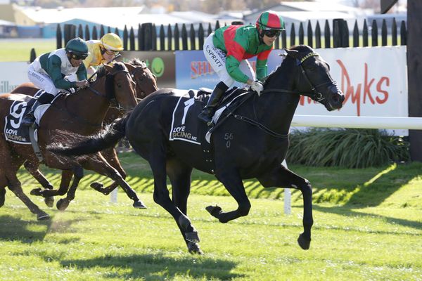 Geriatrix set for Australian debut