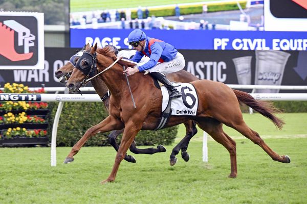 Golden Path relishes distance rise