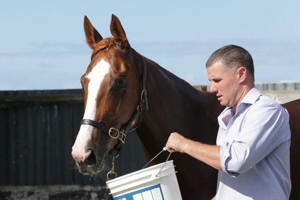 Greene brings up century in style