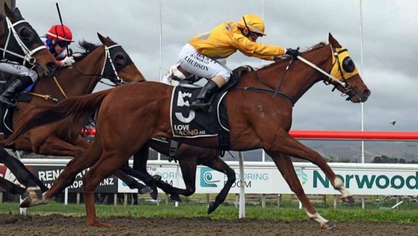 Gum Basher looking to extend poly form