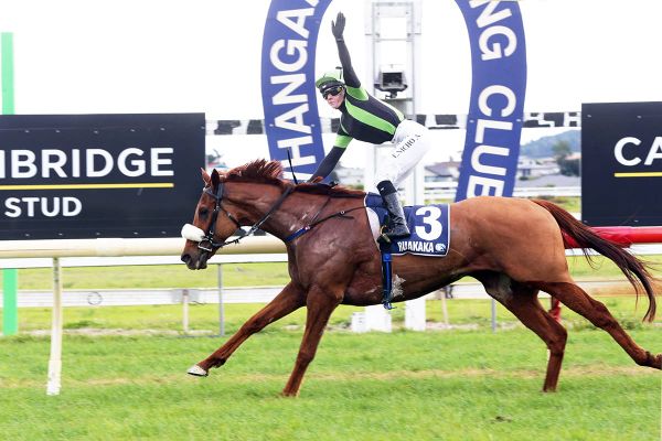 Jack chasing Australian jumps race success