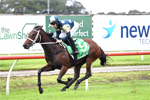 QLD Oaks target for Scarlet