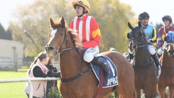 Kauri back in winner's circle