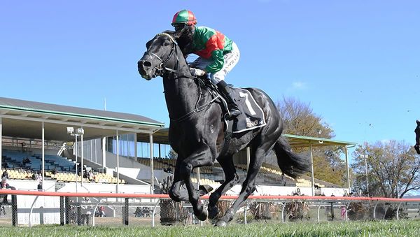 Geriatrix Brisbane bound