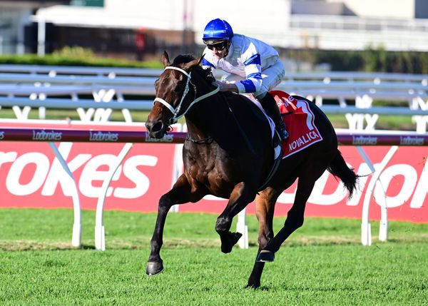 Kovalica to relish Doomben Cup trip