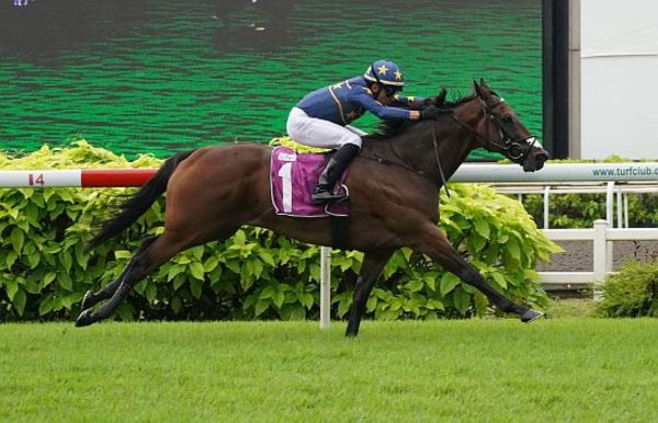 Singapore champ heads to Flemington