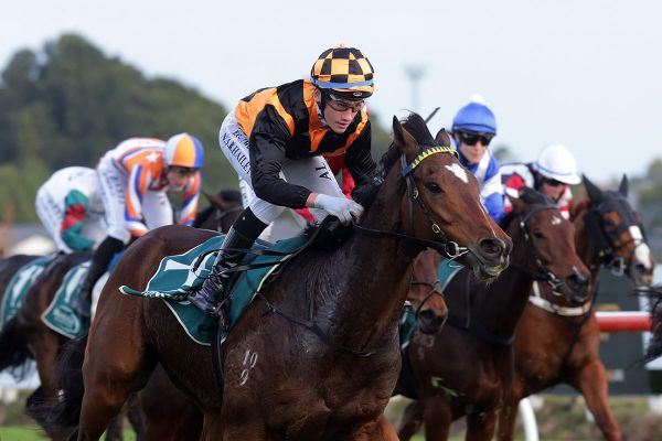 Wexford runner looking to continue his winning roll