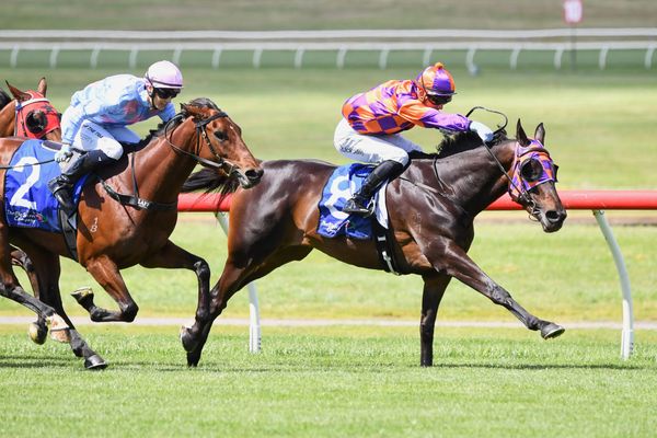 Class drop to suit Mi Rock Aly