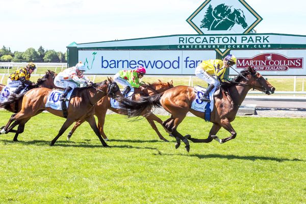 Wet start for Wexford for Queensland fillies features