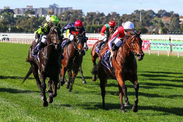 Niance bounces back at Flemington