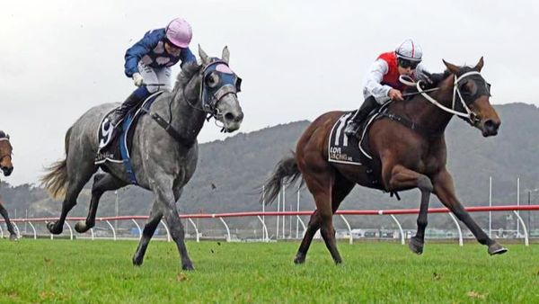 Successful weekend for Fannin