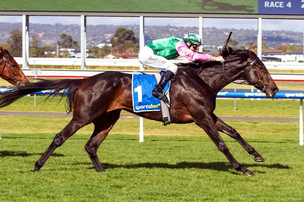 Positivity Cup dream still alive